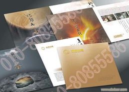 專業平面設計公司 畫冊設計與海報設計的藝術與商業解決方案